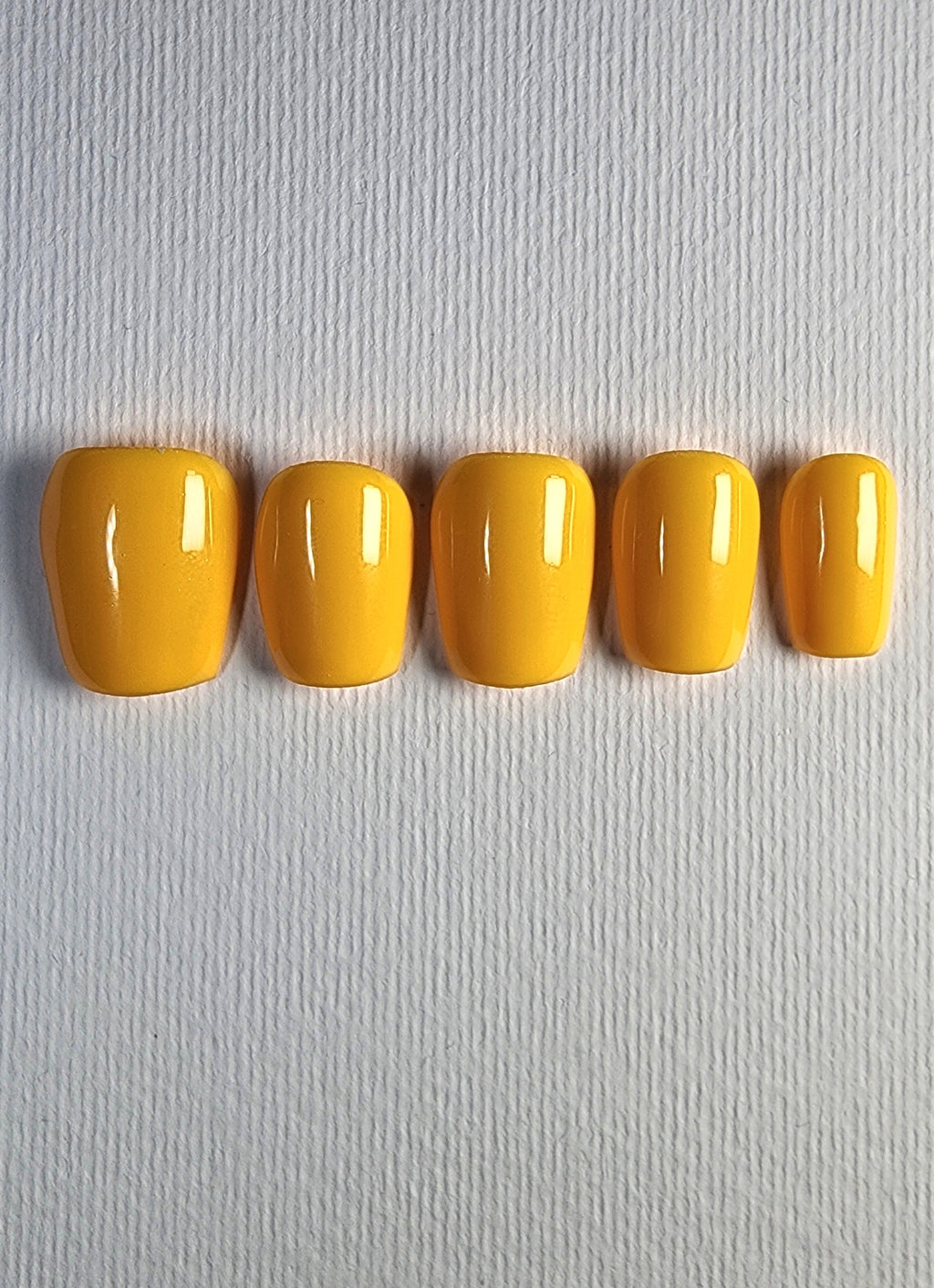 Solid Colors