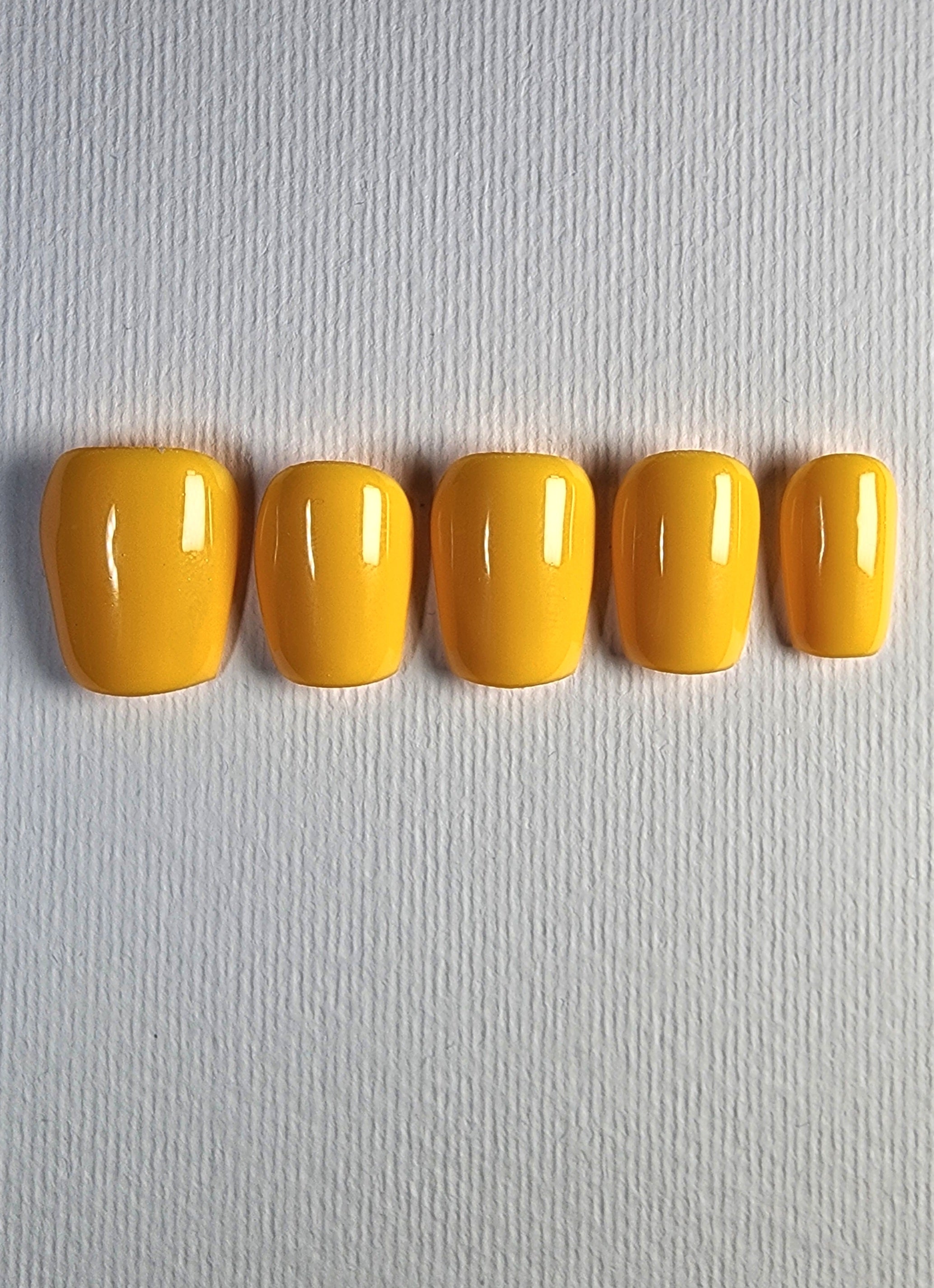 Solid Colors